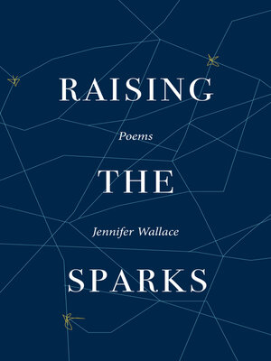 cover image of Raising the Sparks